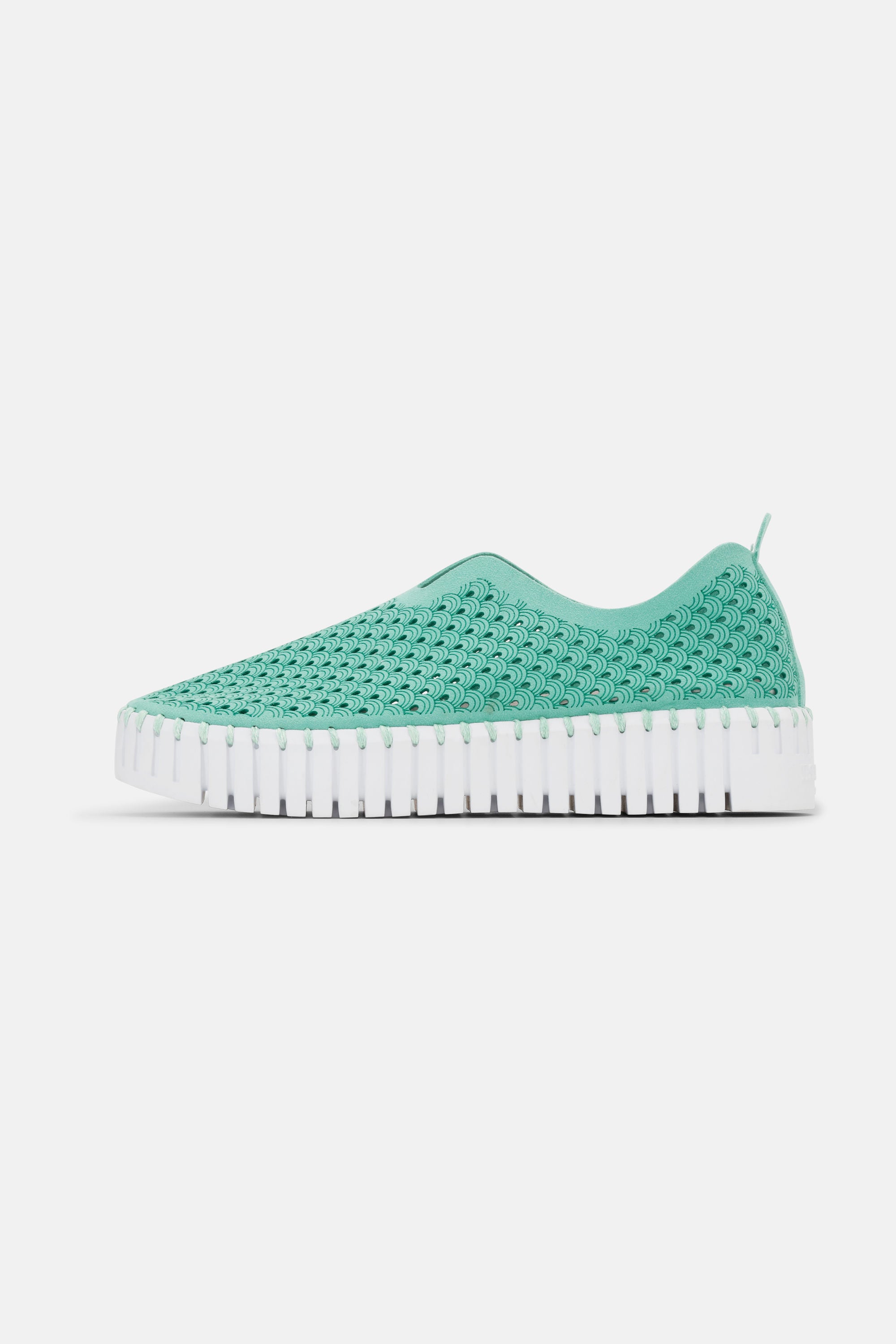 Tulip Chaussures Plateforme - Algae